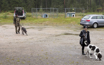 Essilä oli monen rotuisia koiria.