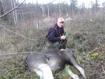 Tonin vasa. Kaato numero 4.