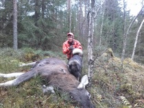 Tonin toinen tälle syksyä. Kaatonumero 6.